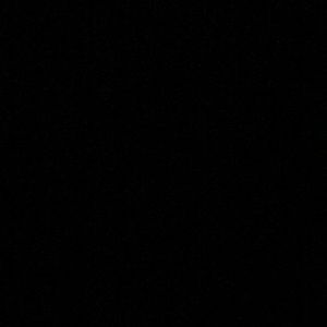 Meet your Posher, Ansley